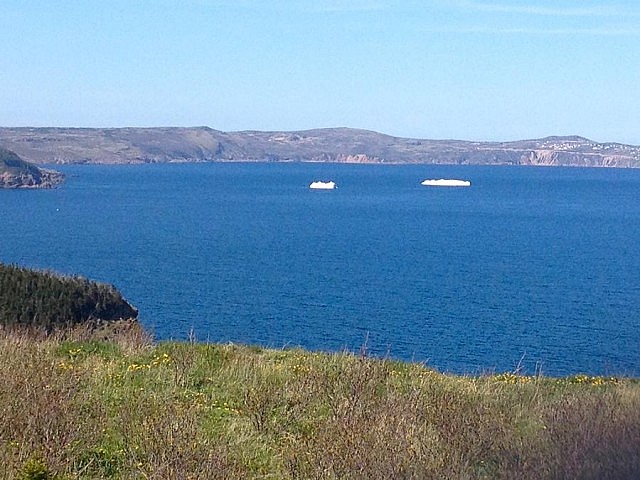 We spotted these icebergs on the drive to Grates Cove from St. John's.