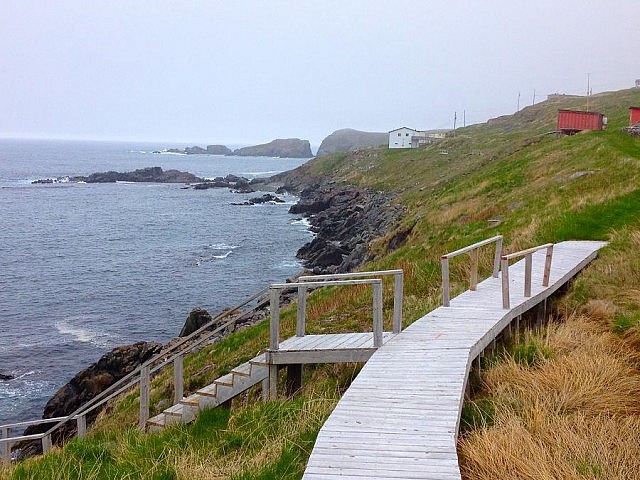 A view of the path at Grates Cove on the way to see the iceberg. Lots of beautiful sea air here.
