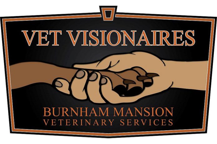 The new Burnham Mansion Veterinary Services on Keene Road is part of the Vet Visionaires chain of vet clinics