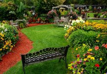 Stunning display gardens at Griffin's Greenhouse, one of seven locations on the self-guided Activity Haven Garden Tour on Saturday, July 16