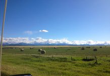 A field with the mountains looming, on the way to Twin Butte (photo: Josh Fewings)