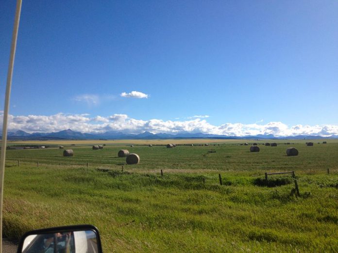 A field with the mountains looming, on the way to Twin Butte (photo: Josh Fewings)