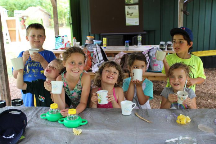 A group of summer campers at GreenUP Ecology Park raise their cups as they enjoy flavoured water they made with sumac berries, lemon, and the added sweetness of honey from the GreenUP Ecology Park bees. Naturally flavoured water is a healthy alternative to sodas and juices containing high levels of sugar and fructose.