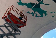 Edmonton artist Jill Stanton on the scissor lift under the Hunter St. Bridge in Peterborough. After completing a pencil outline, she has begun to paint her bloodroot mural design. (Photo: Bruce Head / kawarthaNOW)