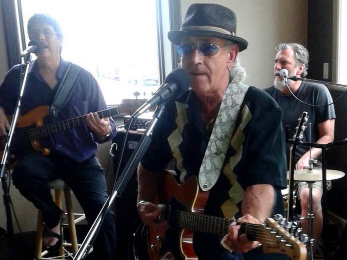 Wylie Harold and The Patio Daddios are performing at Chemong Lodge in Bridgenorth on August 19 (photo courtesy of Wylie Harold)