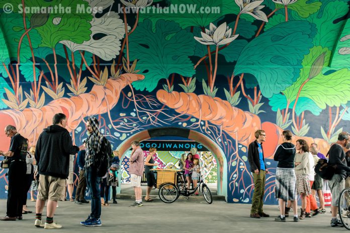 A public launch on September 1, 2016, was held to celebrate the completion of Edmonton artist Jill Stanton's "Bloodroot" mural in an archway under the Hunter St. Bridge. It's adjacent to the "Electric City Mural" (pictured in background) completed last year by Toronto artist Kirsten McCrea (photo: Samantha Moss / kawarthaNOW)