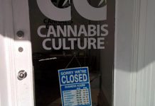 Cannabis Culture, a marijuana dispensary franchise in downtown Peterborough, is closed after police arrested the owner and an employee on September 15 (photo: kawarthaNOW)