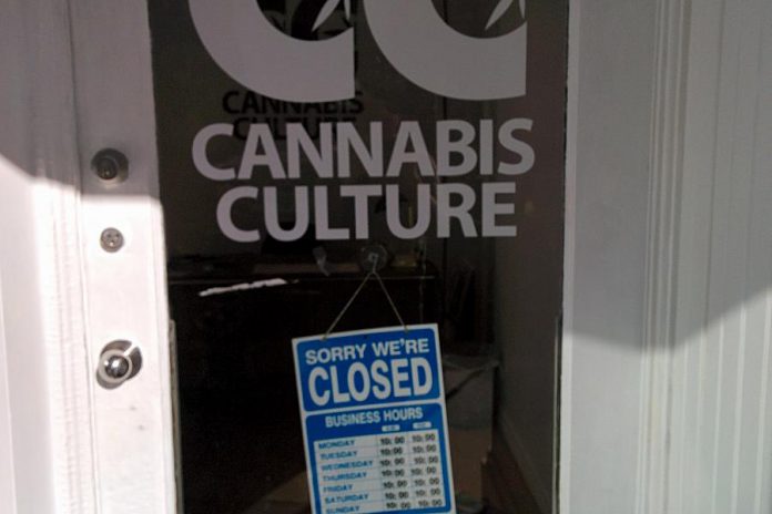 Cannabis Culture, a marijuana dispensary franchise in downtown Peterborough, is closed after police arrested the owner and an employee on September 15 (photo: kawarthaNOW)