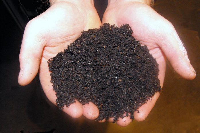 Vermicompost is an excellent organic fertilizer and soil conditioner, with higher levels of nitrates and most other important plant nutrients than regular compost (photo: Wikipedia)