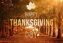 Since Thanksgiving Monday is a statutory holiday in Ontario, all government offices, banks, and liquor and beer stores are closed. Many grocery stores and other businesses are also closed. Most tourist attractions and recreational services remain open.