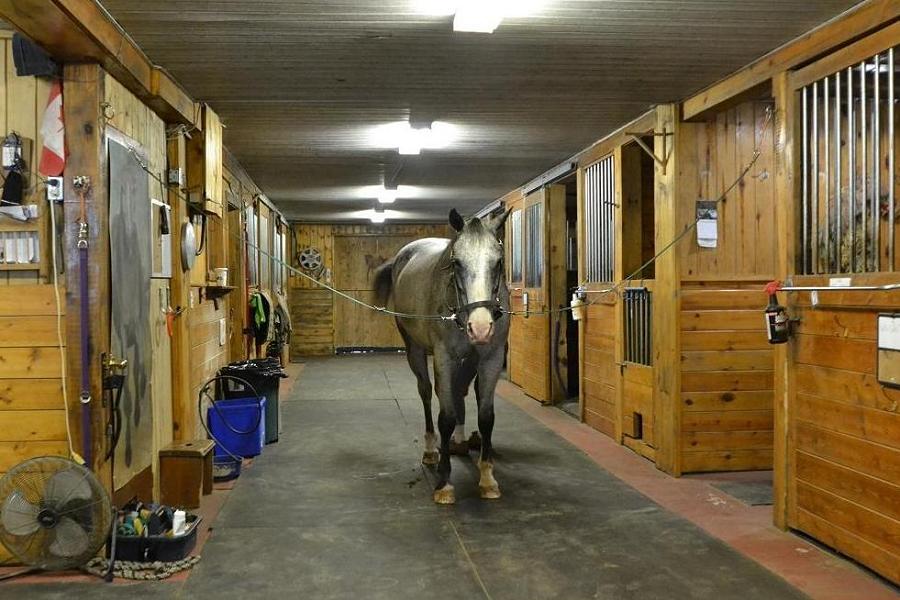 15 stable comfort stalls and a heated tack room make this a great place to keep horses. (Photo: Dan Parker)