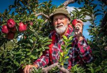 Steve Smith brings his beloved Red Green character to the stage in "I'm Not Old I'm Ripe" at Showplace Performance Centre in Peterborough on October 16 (publicity photo)