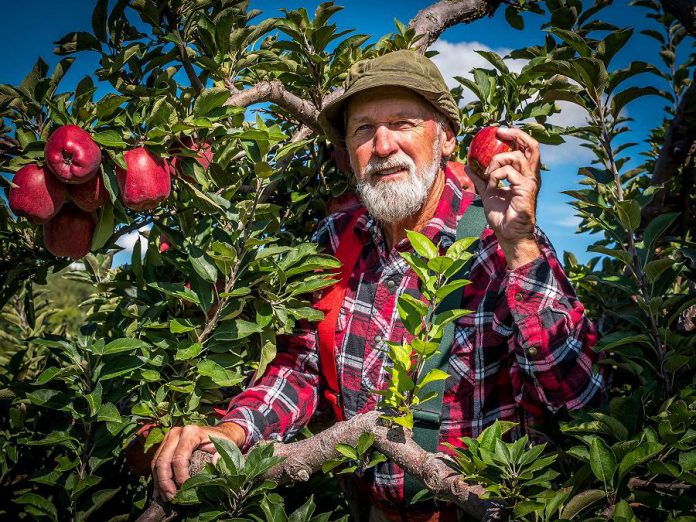 Steve Smith brings his beloved Red Green character to the stage in "I'm Not Old I'm Ripe" at Showplace Performance Centre in Peterborough on October 16 (publicity photo)