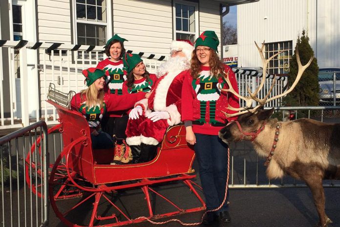 Visit Santa and a real-life reindeer at Village Dental Centre in Lakefield on November 25