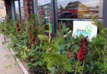 Cuttings from Sumac, Spruce, Cedar, Birch, and Dogwood, and more, make beautiful natural holiday decorations, as seen outside the GreenUP Store on Aylmer Street. Holiday decorations made with natural items are simple to create and will biodegrade at the end of the season. (Photo: Karen Halley)