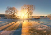 The winter solstice, the shortest day of the year, is on Wednesday, December 21. After the winter solstice, the days begin to get longer again.