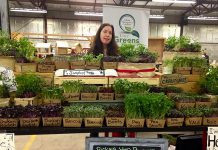 Tina Bromley, owner of Tiny Greens, at the Peterborough Farmers' Market. As part of her prize as winner of the inaugural Win This Space competition, Tina gets a free 12-month lease for a storefront in downtown Peterborough. (Supplied photo)