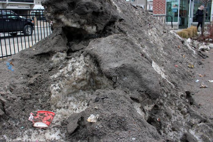 A paper coffee cup and other littered items emerge from a snowbank at the corner of Charlotte and Aylmer Streets in downtown Peterborough during the 2017 January thaw. Take steps now to reduce roadside garbage and litter that accumulates throughout the winter to minimize the unsightly mess that appears each spring. (Photo: GreenUP)