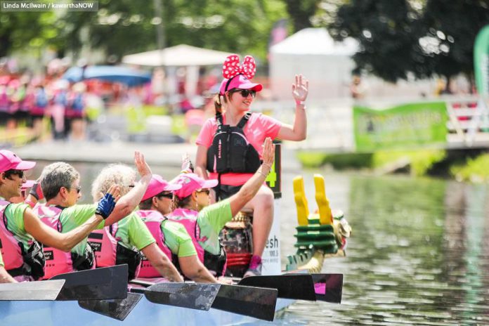 Last year's Dragon Boat Festival raised over $196,000 for breast cancer care at Peterborough Regional Health Centre. Registration is now open for the 2017 festival, which takes place on Saturday, June 10 at Del Crary Park in Peterborough. (Photo: Linda McIlwain / kawarthaNOW)