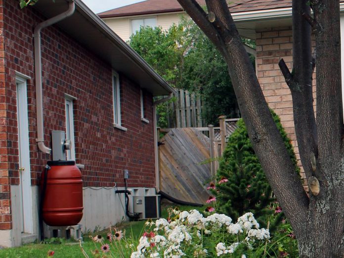 A properly installed rain barrel, as seen here, can efficiently store rain water for use on your garden during drier periods. Reductions in outdoor water use by using rain barrels and drought tolerant landscaping methods can help you to reduce your water footprint.