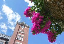 The Lakefield Horticultural Society is seeking community support to beautify the Village of Lakefield with flower baskets for Canada 150th celebrations