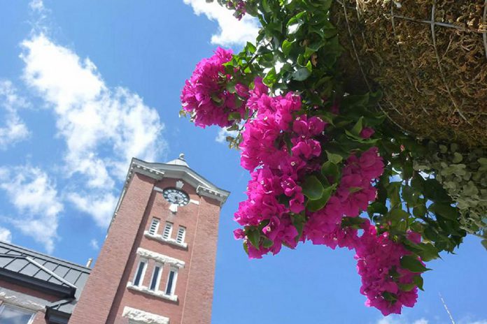 The Lakefield Horticultural Society is seeking community support to beautify the Village of Lakefield with flower baskets for Canada 150th celebrations