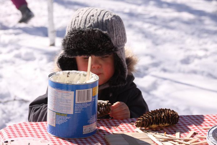 A child coats a pine cone with lard at the bird-feeding station at Ecology Park, which has engaged more than 10,000 children in educational programs over the past 25 years. Peterborough GreenUP has embarked on an ambitious five-year plan to fund raise $440,000 to improve the park and expand programming. (Photo: Jeannine Taylor / kawarthaNOW)