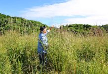 South Pond Farms, property owners Ralph McKim and Jean Garsonnin, and Kawartha Land Trust are presenting a not-for-profit series of eight guided nature walks in the Fleetwood Valley on the edge of the Oak Ridges Moraine. The walks, talking place from April to October, will be guided by local naturalists and include a "farm-to-table" meal provided by South Pond Farms.