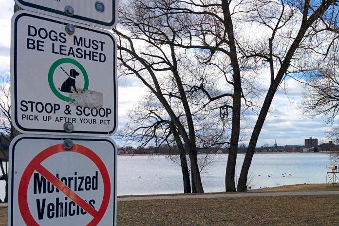 A "stoop and scoop" sign at Roger's Cove in Peterborough's East City with Little Lake in the background. The most environmentally friendly thing you can do with your dog's poop is to take it home and flush it down the toilet. If that's too much work for you, at least ensure you pick it up and dispose of it in the garbage. Don't leave it lying around where rainwater will eventually carry it into our waterways, creating problems for plant life, wildlife, humans, and pets. (Photo: Bruce Head / kawarthaNOW)