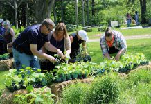 GreenUP Staff and volunteers will be on hand to help you make veggie, annual and perennial, shrub and tree choices for your garden at the Annual Ecology Park Plant Sale this Sunday, May 21st noon to 4 p.m. (Photo: Karen Halley)