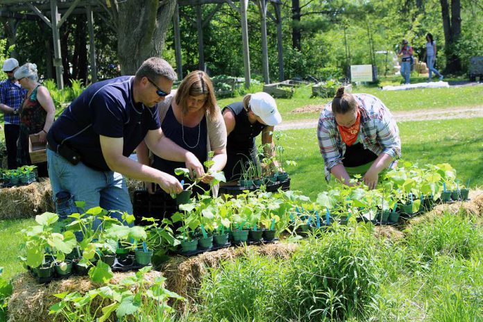 GreenUP Staff and volunteers will be on hand to help you make veggie, annual and perennial, shrub and tree choices for your garden at the Annual Ecology Park Plant Sale this Sunday, May 21st noon to 4 p.m. (Photo: Karen Halley)