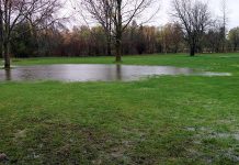 Ponding of rainwater in the soccer fields on May 5 at Beavermead Park in Peterborough. (Photo: kawarthaNOW)