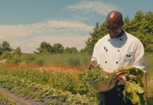 Make your summer in the Kawarthas even better by enjoying a farm-to-table meal at Elmhirst's Resort (pictured), enhancing your garden with sustainable and pesticide-free plants from The Greenhouse on the River, or building your custom dream home with help from Apsley Home Hardware Building Centre. (Photo: Justen Soule)