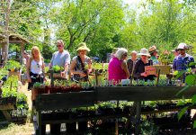 GreenUP offers many resources, products, events, and workshops during the month of May. The GreenUP Ecology Plant Sale is an annual fundraiser that happens each May where you can pick up a variety of veggies, locally adapted wildflowers, grasses, shrubs, and trees. Join GreenUP this year on Sunday, May 21st from noon to 4 p.m. for their biggest sale of the year.