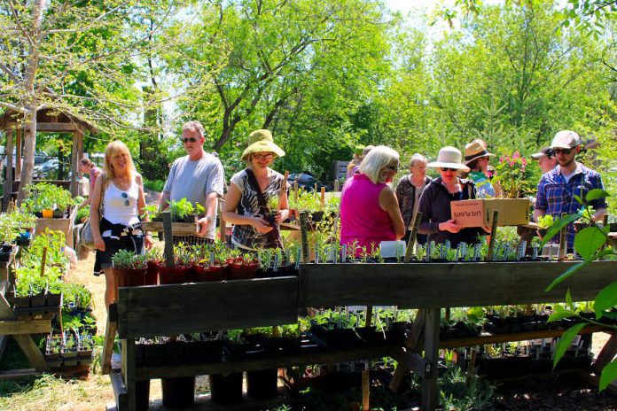 GreenUP offers many resources, products, events, and workshops during the month of May. The GreenUP Ecology Plant Sale is an annual fundraiser that happens each May where you can pick up a variety of veggies, locally adapted wildflowers, grasses, shrubs, and trees. Join GreenUP this year on Sunday, May 21st from noon to 4 p.m. for their biggest sale of the year.