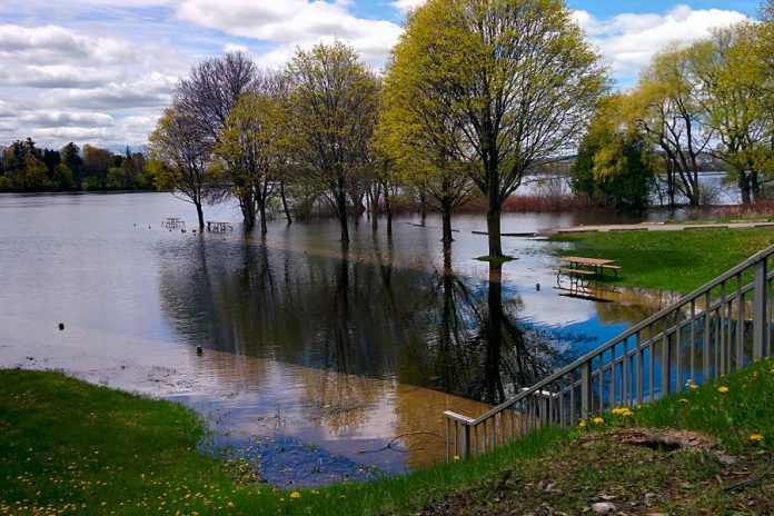 Little Lake rising above the retaining walls and flooding the parking lot at Ashburnham Lock 20 at Beavermead Park in Peterborough. Over 100mm of rain has already fallen in Peterborough since the beginning of May. (Photo: Bruce Head / kawarthaNOW)