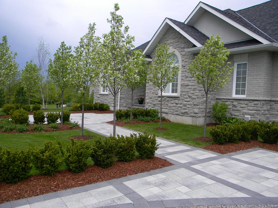 Cavan Hills Landscaping created this front entry, with a walkway through ornamental fruit trees and topiary. (Photo: Cavan Hills Landscaping)