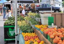 The Lakefield Farmers' Market opens for the season on Thursday, May 25th from 9 a.m. to 2 p.m. There will be activities including a pinata to break open the new season and cupcakes to celebrate. (Photo: Lakefield Farmers' Market / Facebook)