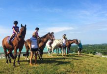 Sky Haven Equestrian Centre in Bethany offer lessons on and off the horse. (Photo: Sky Haven Equestrian Centre)