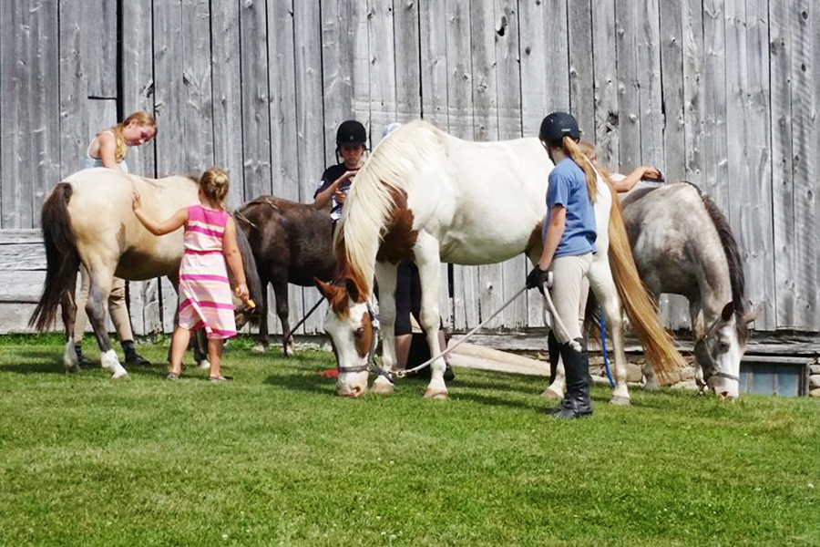 At the camp, kids spend time in the saddle, learn how to groom, feed and safely handle horses, clean the stalls, and get ready for  daily lessons. (Photo: Heather Leach / Seven Pines Stables)