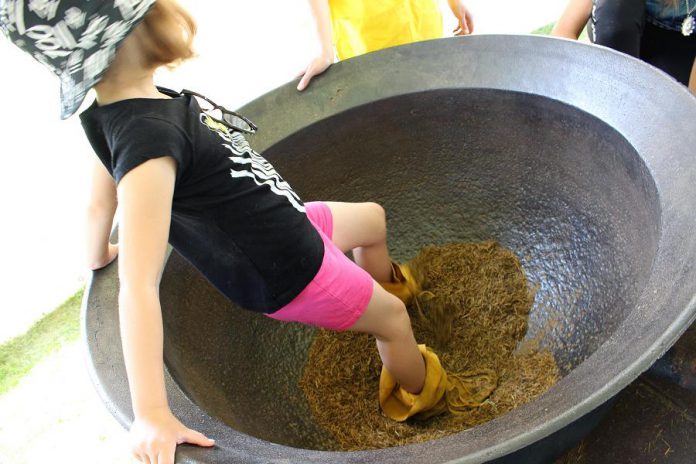 An attendee of the Peterborough Children's Water Festival participates in The Wild Rice Dance-off activity centre where children take turns wearing moccasins and dancing in a large cauldron of wild rice, a traditional practice used to remove the chaff from the grain of rice. (Photo: Karen Halley)