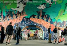 Edmonton artist Jill Stanton's "Bloodroot" mural, under the Hunter Street Bridge in Peterborough, was completed in September 2016. The City of Peterborough's Public Art Program has issued two new proposals for public art projects in downtown Peterborough. (Photo: Samantha Moss / kawarthaNOW)