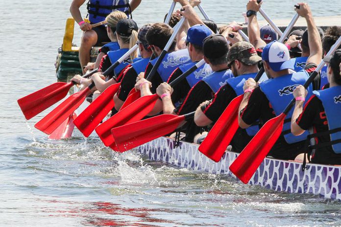 Funds raised by the 2017 Peterborough's Dragon Boat Festival will go towards the purchase of a new state-of-the-art 3D-capable digital mammography unit at at the Peterborough Regional Health Centre, improving the accuracy of breast cancer screening. Please sponsor a paddler or a team at this year's festival. (Photo: Linda McIlwain / kawarthaNOW)