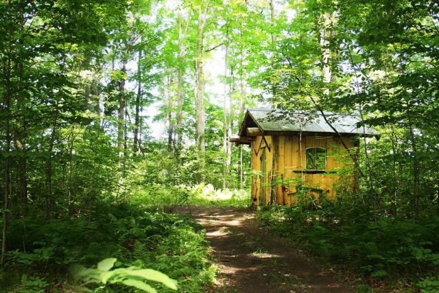 On the outdoor adventure trails participants complete a series of challenges in the style of The Amazing Race. (Photo: Escape Maze)