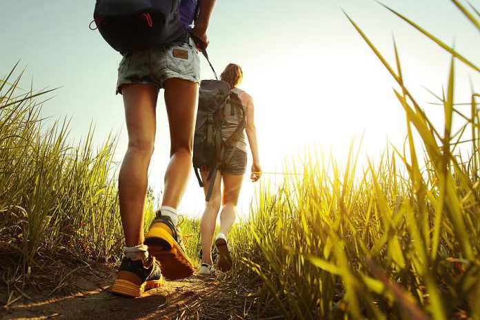 Peterborough Public Health has identified the first Lyme disease-positive tick of the season. Blacklegged ticks live in areas of tall grasses and wooded habitat, so protect yourself when walking or hiking in these areas.