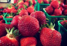 The first strawberries of the 2017 season from McLean Berry Farm. Pre-picked berries are available now, and you can pick your own soon. (Photo: McLean Berry Farm)