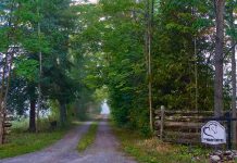 Hosted by the Business Advisory Centre of Peterborough & the Kawarthas Economic Development, the Women's Wellness Fair takes place at The Mane Intent in Indian River on the evening of June 12. (Photo: The Mane Intent)