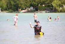 An inspector with Peterborough Public Health sampling water quality at a local beach. (Photo: Peterborough Public Health)