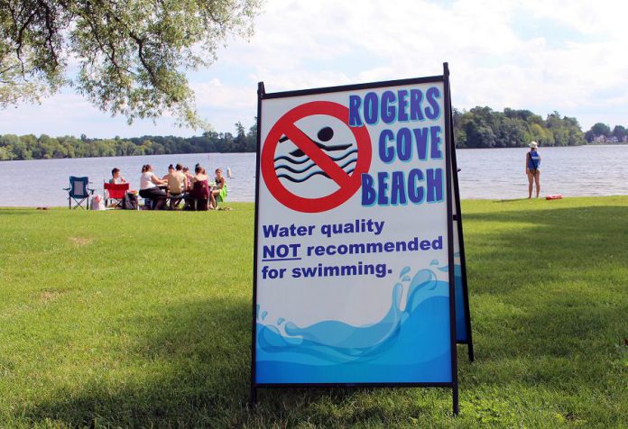 Visitors to Rogers Cove in Peterborough enjoy the waterfront, despite the beach being posted as unsafe. When bacteria counts exceed 100 E. coli per 100mL of water, the beach is considered unsafe for swimming. Primary inputs of E. coli in Peterborough area beaches are due to the presence of waterfowl faeces. (Photo: GreenUP)