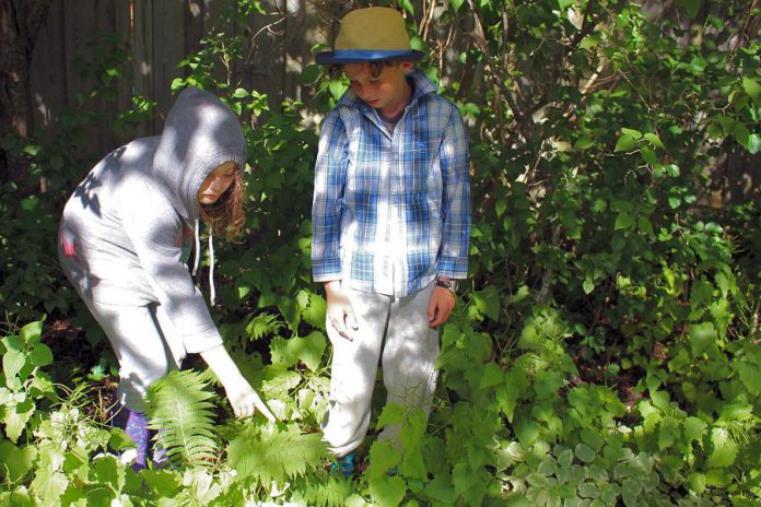 This summer, enjoy the outdoors and all the benefits it can provide for healthy childhood development. Balancing the risks with appropriate precautions and taking preventative measures for things like black-legged ticks, will allow your family to experience fun in nature, at the cottage, or at camp this summer. (Photo courtesy of GreenUP)